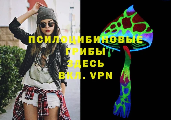 дурь Богородицк