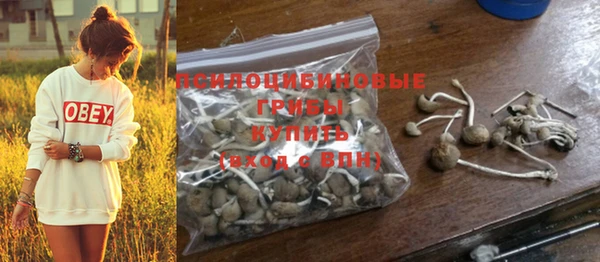 кокаин колумбия Богданович